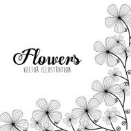 Black and white floral design N9