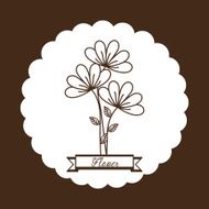 Flowers floral card N12