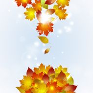 Autumn Falling Leaves