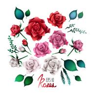 Huge collection of roses