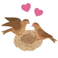 Pair birds in the nest