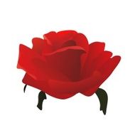 Vector Red Rose
