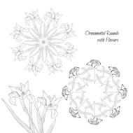 Ornamental rounds with flowers 2