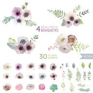 Flowers and Leaves - in Watercolor Style