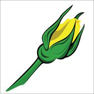 Bud Roses