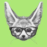 Portrait of Fennec Fox with glasses