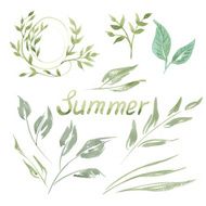 Vector Silhouette of Leaves Watercolor N2