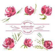 Vector Floral of Painted Red Roses Watercolor