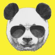 Portrait of Panda with sunglasses N2