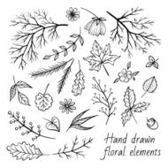 Vector herbal elements set N2