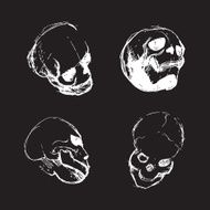 Skull from different views N2