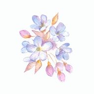 Branch with delicate flowers Vector