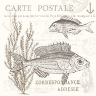 grey fish postcard