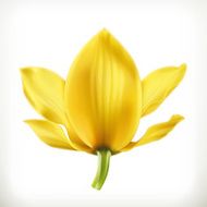 Orchid flower icon