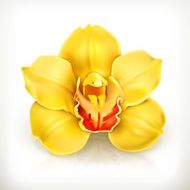 Orchid flower icon N2