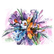 purple pink and white irises N2