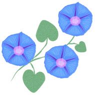 Branch of flower Ipomoea morning glory Vector illustration