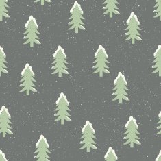 Winter pattern N46