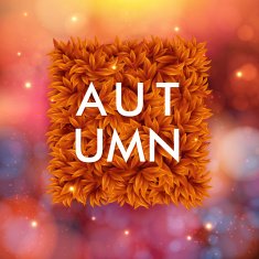 Blurred background with bokeh effect Square shape made of leaves