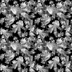 Seamless texture with colored watercolor maple leaves N6