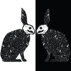 Black rabbits