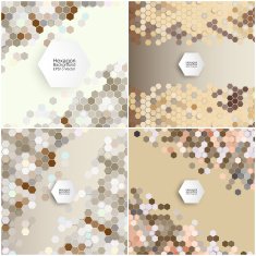 Geometric backgrounds set abstract hexagonal patterns vector