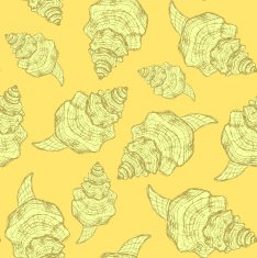 Sketch sea shell in vintage style N8