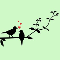 Love birds on a tree branch