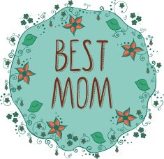 'Best Mom' words in round floral frame N2