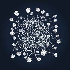 Hand drawn letter beautiful B Floral monogram with decorative flower N2