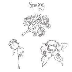 Sketch flowers spring vector illustration N2