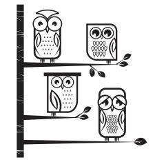 Cute Owl N15