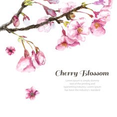 Hand Drawn Cherry Blossoms