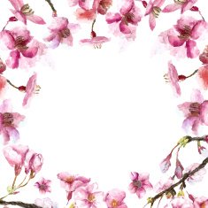 Hand Drawn Cherry Blossoms N3