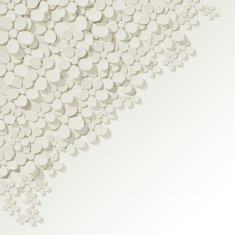 Bouquet of white flowers in the corner on background N2