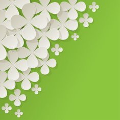 Bouquet of white flowers in the corner on green background