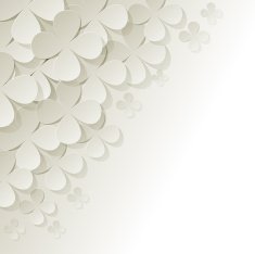 Bouquet of white flowers in the corner on background N3