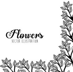 Black and white floral design N19