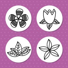 Flowers floral card N28