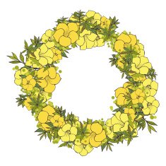 Floral wreath N12