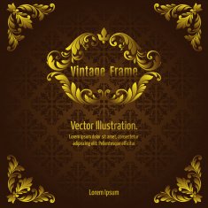 Vintage Gold Frame N6