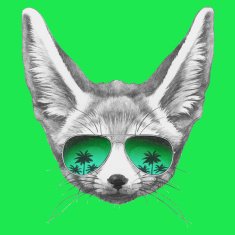 Portrait of Fennec Fox with mirror sunglasses N2
