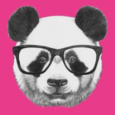 Portrait of Panda with glasses N2