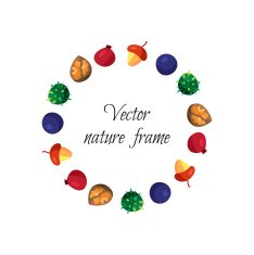Vintage nuts berry fruits frame N3