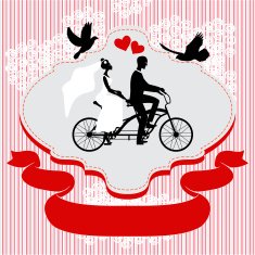 Vintage wedding frame with bicycle and pegions N2