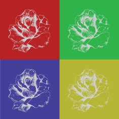 Rose N22