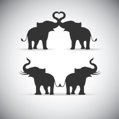 Silhouette lovers an elephant N2