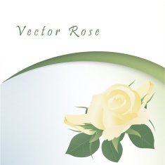 Template card with yellow roses