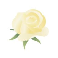 Floral background with yellow rose