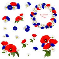 Set of decorative elements with flowers chamomile poppies and cornflowers N2